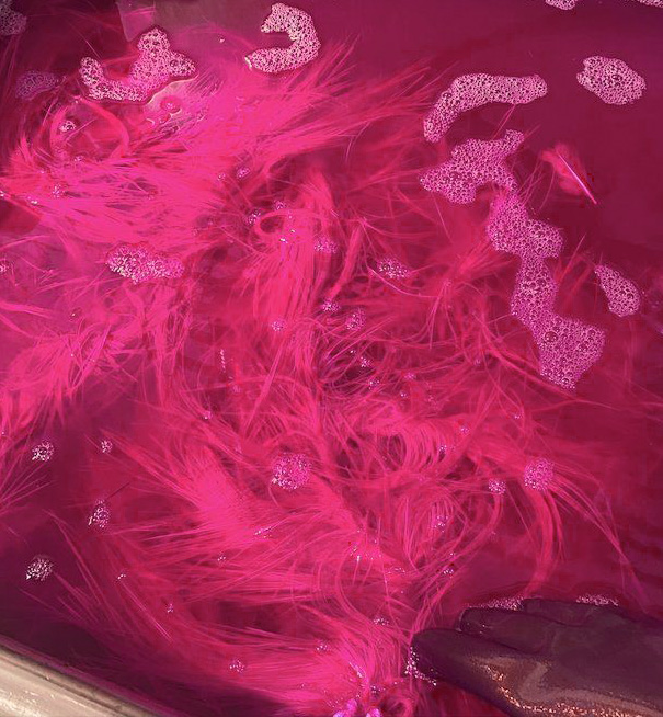LaPointe pink feathers in dye bath